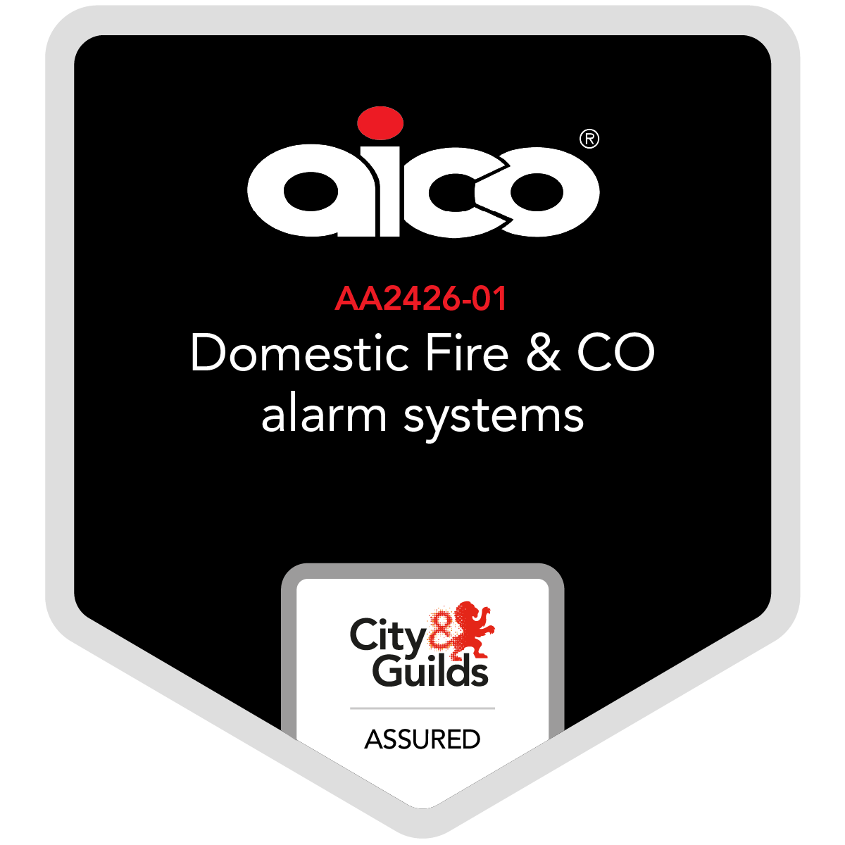City & Guilds Alarm Certification.