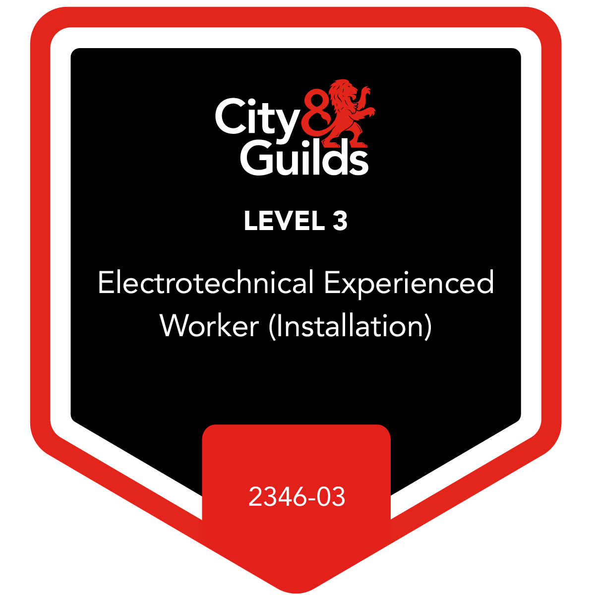 City & Guilds Electrical Certification.